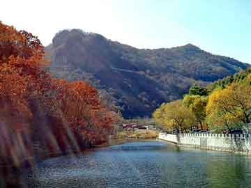 澳门二四六天天彩图库，扇形屋面板